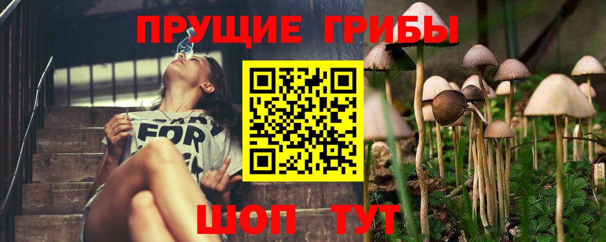 Волгоград  Галлюциногенные грибы прущие грибы  Вход с VPN 