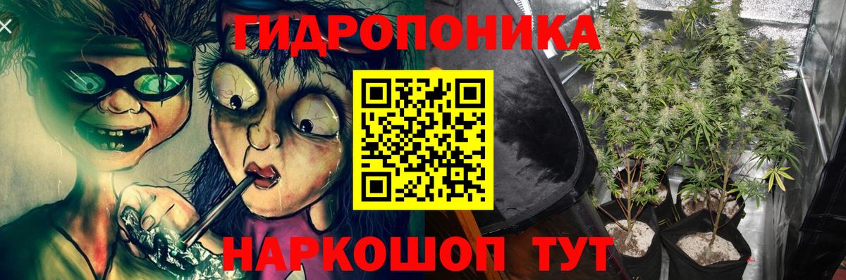 Волгоград  Конопля сатива  Канабис Amnesia  Вход с VPN  Марихуана сатива  МАРИХУАНА план 